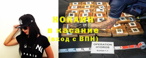 крисы Алзамай