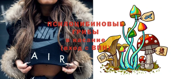 метамфетамин Алексеевка