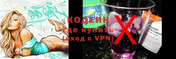 мет Протвино
